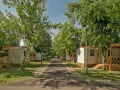 Alejka na hajdu camping, otoczona drzewami i białymi domkami z werandami.