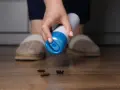 Mano con spray insecticida sobre cucarachas muertas en el suelo. Las cucarachas mudan la piel y crecen, pero estas ya no lo harán.