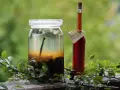 Ein Glas mit Schlehen und eine Flasche Schlehenlikör, bereit für Schlehen Rezepte.