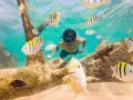 Nurek w masce pływa wśród ławicy ryb podczas zanzibar snorkeling. Podwodny świat pełen kolorów.