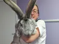 Una donna sorride tenendo in braccio un coniglio gigante, le sue lunghe orecchie grigie dominano l'inquadratura.