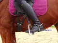 Jambes gainées sur un cheval bai, le pied dans l'étrier. Le cheval froid à la jambe semble prêt pour la leçon.