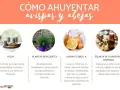 Métodos para ahuyentar avispas y abejas: velas, plantas, limón y cebolla, y esencia de almendras amargas.