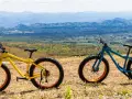 Czy rower MTB nadaje się na asfalt? Odkryj wady i zalety jazdy