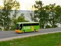 Zielony autobus Flixbus jedzie drogą przy jeziorze otoczonym drzewami.