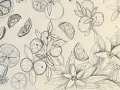 Dibujos creativos de naranjas enteras, en rodajas y flores de azahar, con un estilo a lápiz que evoca la frescura del campo.
