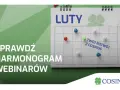 Cosinus: Status słuchacza ZUS, zniżki, ubezpieczenie. Sprawdź!