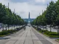 Aleja z drzewami i bazyliką w tle. Spacer po alei to jedne z częstochowskich atrakcji dla dzieci, które mogą podziwiać architekturę i poczuć atmosferę miasta.