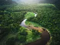 Un serpenteante río amazonas se abre paso entre la exuberante selva verde, un tapiz de vida salvaje y naturaleza virgen.