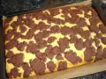 Ein frisch gebackener russischer Zupfkuchen vom Blech, mit einem gelben Teig und dunklen Schokoladenstückchen.