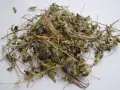 Getrockneter Thymian, bereit zur Lagerung. Die zarten Zweige und Blätter zeigen, wie man Thymian trocknen kann, um sein Aroma zu bewahren.