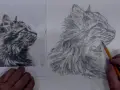 Un artiste commence à peindre un dessin de chat, en s'inspirant d'une photo. Le portrait prend vie sous ses doigts.