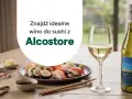 Idealne wino do sushi? Zobacz propozycję od Alcostore – butelka Sauvignon Blanc Tahuna czeka na Ciebie.