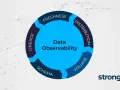 Diagram illustrating Data Observability with key components: Freshness, Distribution, Volume, Schema, and Lineage. This app metadata helps understand data health.