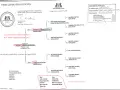 Ile kosztuje rodowód dla psa? Sprawdź ceny i opcje rejestracji