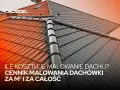 Ile kosztuje malowanie dachu? Sprawdź cennik malowania dachówki za m² i za całość. Odśwież swój dach!