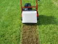 Ein Vertikutierer entfernt Moos und Rasenfilz. Das zeigt, was bedeutet vertikutieren: gesunde, dichte Grasnarbe.