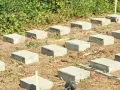 Jaki fundament pod domek letniskowy drewniany, aby uniknąć problemów?