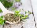Holzlöffel mit getrocknetem Bohnenkraut, bereit zum Würzen. Frische grüne Zweige und zarte Blüten im Hintergrund.