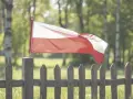 Jak wygląda flaga Polski? Odkryj jej kolory i symbolikę