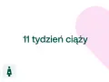 11 tydzień ciąży. D+ logo i symbol kobiety w ciąży na tle różowego serca.