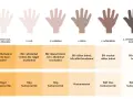 Diagram visar hudtyper och deras UV-känslighet. Vid vilket UV-index blir man brun beror på hudtyp, från ljus som bränns till mörk som blir brun.