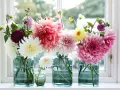 Vaser med dahlia inomhus, i nyanser av rosa, vitt, lila och gult, står på en fönsterbräda.