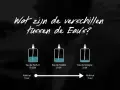 Unterschied Parfum & Eau de Toilette: Welcher Duft passt zu Ihnen?