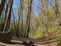 Młoda osoba stoi na skale w lesie, na szlaku w **Dolinie Racławki**. Wiosenne liście na drzewach i niebieskie niebo.