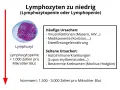Bild zeigt einen Lymphozyten und erklärt, dass zu niedrige Lymphozyten (Lymphozytopenie) durch Viren, Medikamente oder Mangelernährung verursacht werden können.