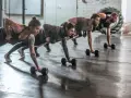 Fran CrossFit - co to jest i jak pokonać ten wymagający trening