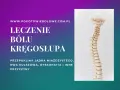 Model kręgosłupa, leczenie bólu kręgosłupa, przepuklina jądra miażdżystego, rwa kulszowa, dyskopatia.