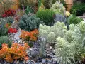 Un giardino moderno con piante grasse dai colori vivaci e forme scultoree, un'oasi di design e natura.
