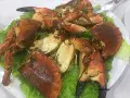 Buey de mar a la plancha servido sobre lechuga fresca. Un plato delicioso y listo para disfrutar.