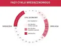 Ile dni trwa miesiączka? Kiedy okres jest za krótki, a kiedy za długi?