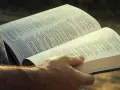 A hand holds open a Bible, revealing the words of Agur in the Bible, Proverbs 31:2.