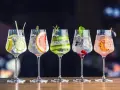 Pięć drinków z ginem, np. gin lubelski czy Seagram’s, z owocami i ziołami. Idealne do domowych drinków.