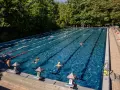 Menschen genießen das Tegeler See baden in einem Freibad mit Bahnen.