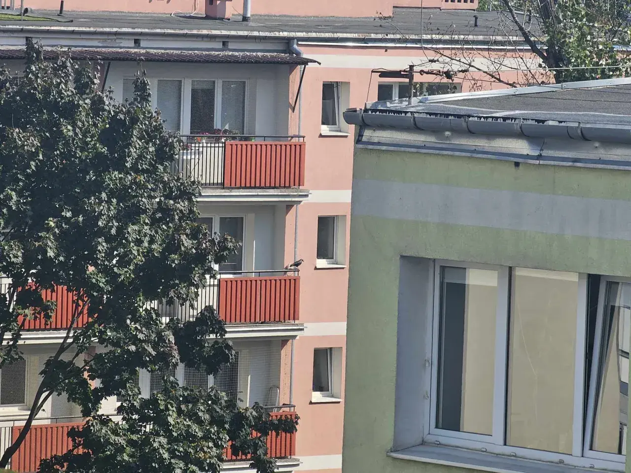 Ptak na balkonie bloku. Czy nowe przepisy o balkonach i tarasach podniosą opłaty na fundusz remontowy?