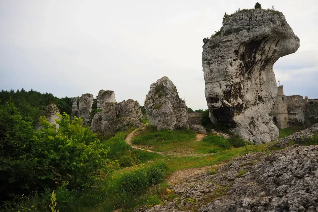 Skały wapienne na wyżynie krakowsko-częstochowskiej, z ruinami zamku w tle.