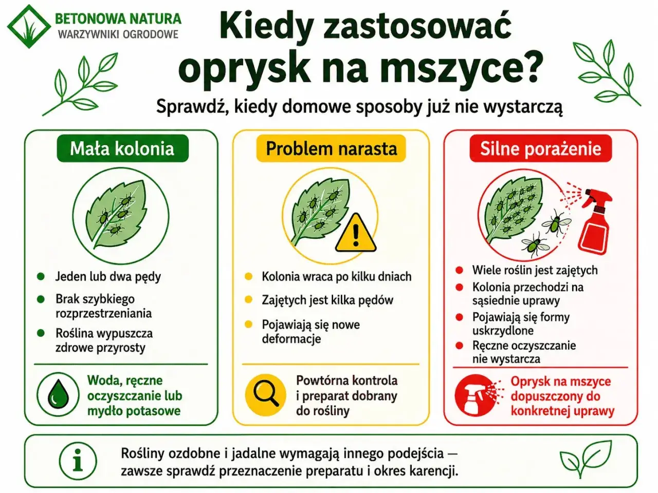 Kiedy domowe sposoby na mszyce zawodzą? Infografika pokazuje, jak rozpoznać małą kolonię, problem narastający i silne porażenie, sugerując odpowiednie metody walki.