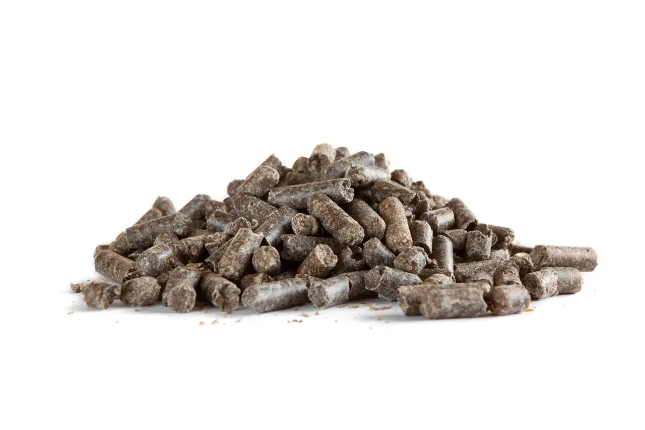 Un tas de pulpe de betterave cheval, des granulés sombres et secs, prêts à être distribués.