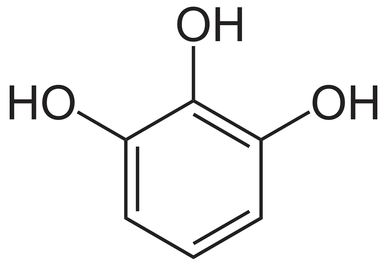 Chemische Struktur von Pyrogallol, einem Derivat des Phenols mit drei Hydroxylgruppen am Benzolring.
