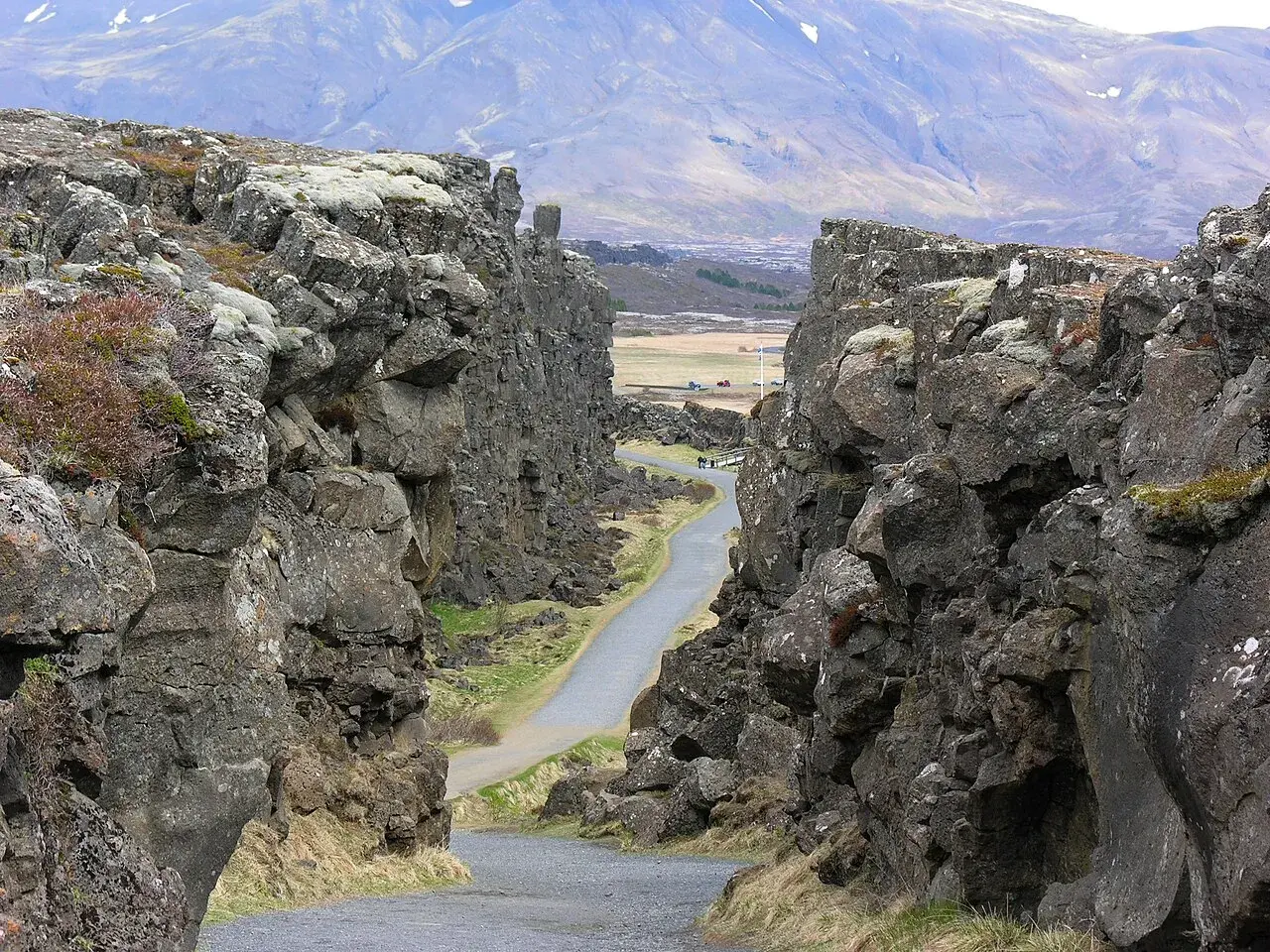 Wąwóz w Parku Narodowym Þingvellir, część Złotego Kręgu Islandii. Kamienne ściany i droga wiodąca w głąb krajobrazu.
