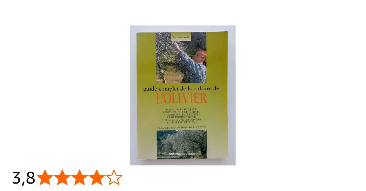 Guide complet sur la culture de l'olivier, ses propriétés et son exploitation. Une invitation à découvrir l'olivier plante.