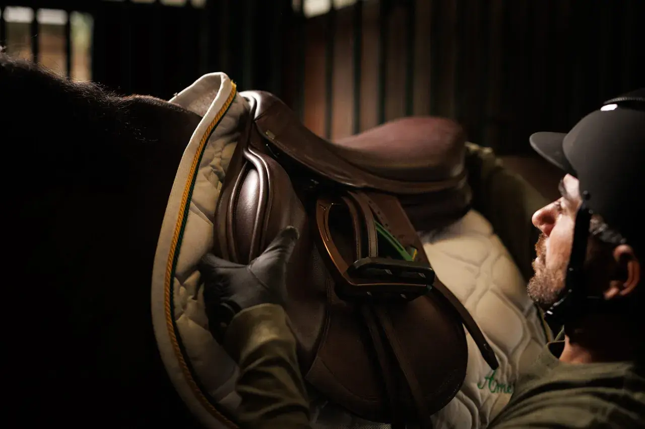 Un cavalier ajuste une selle Amerigo Sellier sur un cheval.