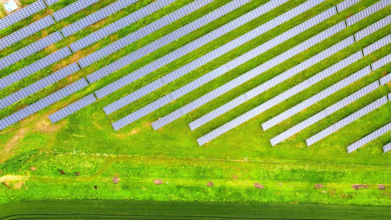 Rozległa farma fotowoltaiczna na zielonym polu, panele ułożone w rzędy pod kątem, łapiące słońce.