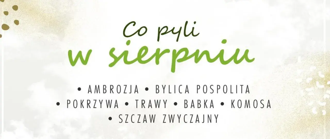 Co teraz pyli w sierpniu? Ambrozja, bylica, pokrzywa, trawy, babka, komosa i szczaw.
