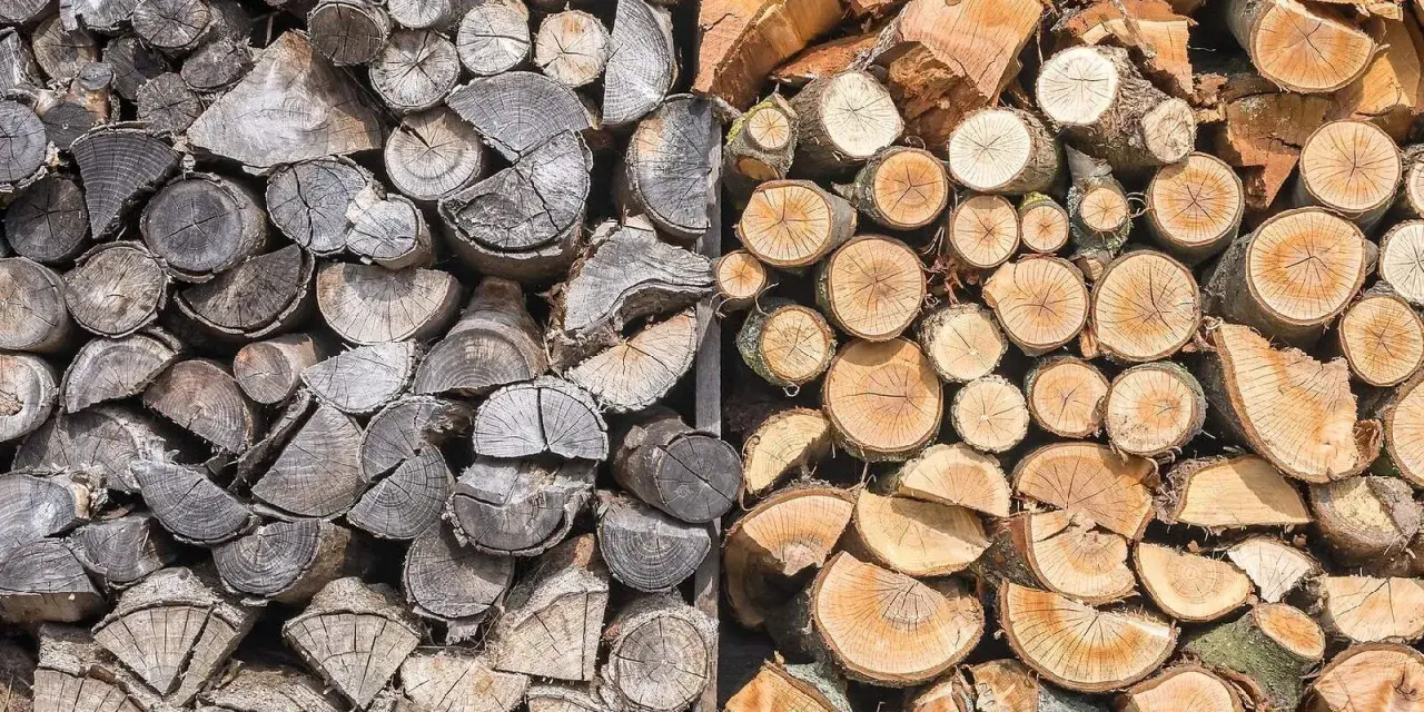 Gros tas de bois de chauffage trop vieux, certains grisâtres et usés, d'autres plus frais et orangés, empilés pour l'hiver.