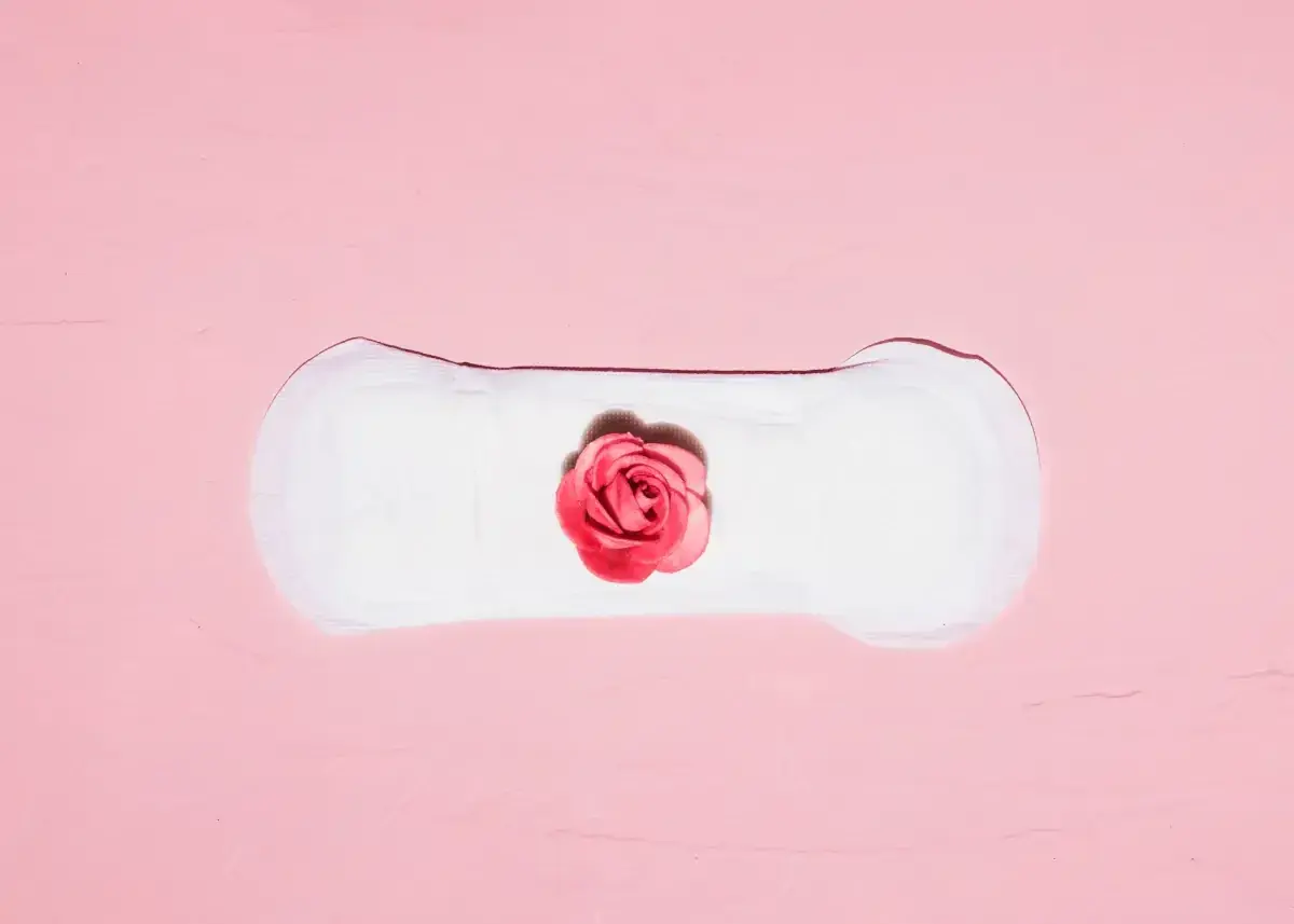 Biały podpaska z różową różą pośrodku. Symbolizuje cykl menstruacyjny, gdzie skrzep czy zarodek może być częścią tej naturalnej podróży.